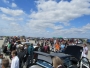 CARWARS 2011 / (autor Disease)