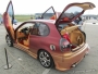 fotografie (autor Disease) / Tuning Motor P�rty Vy�kov XVI.