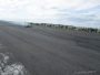 CARWARS 2011 / (autor Disease)